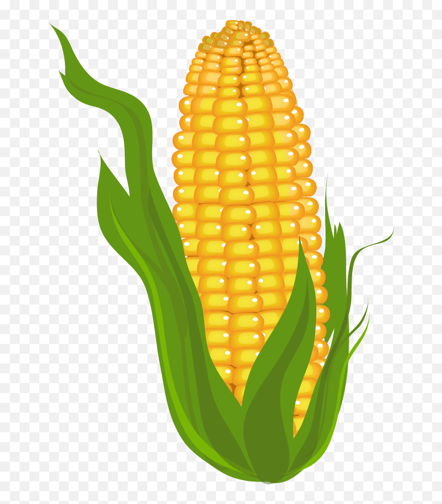 Corn Cute Transparent Png Clipart - Corn Clipart Emoji,Emoji Corn