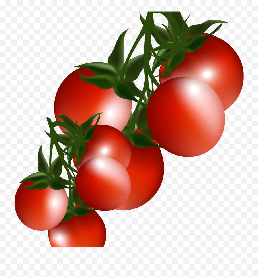 Tomato Plant Clipart Png - Tomato Clip Arts Emoji,Find The Emoji Tomato