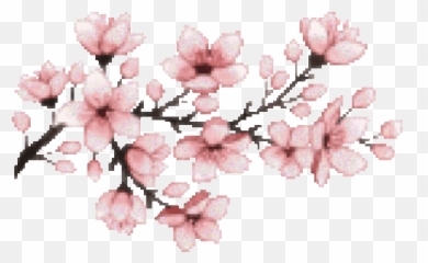 Cherry Blossom Sakura Aesthetic Tumblr Aesthetictumblr - Pixel Png Emoji