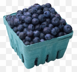 Blueberry - Food That Eliminates Belly Fat Emoji,Blueberry Emoji