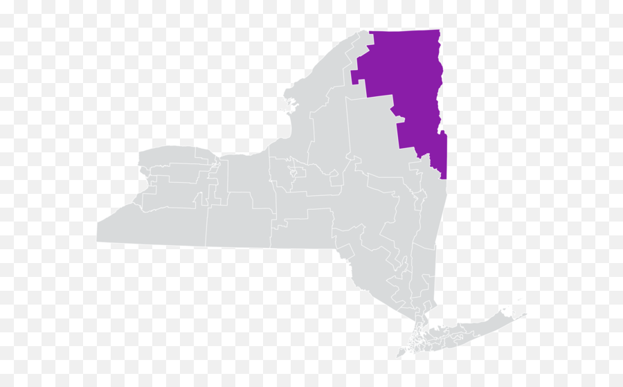 New York State Senate District 45 - 45th Senate District Emoji,New York Flag Emoji
