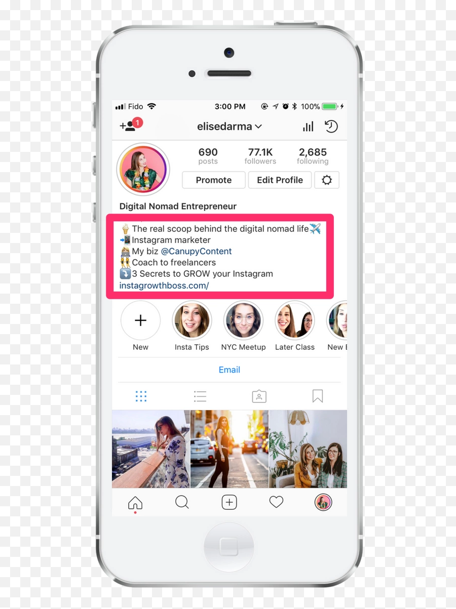 Instagram To Increase Your Course Sales - Entrepreneur Bio Insta Emoji,Emoji Quotes For Instagram