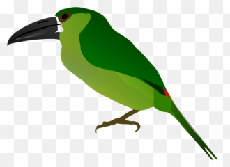 Emoji,Parrot Emoji