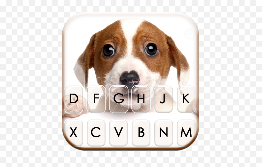 Download Cute Puppy Eyes Keyboard Theme - Rspca Vic Emoji,Puppy Eye Emoticon