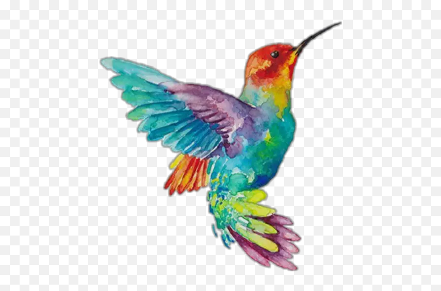 Hummingbirds Stickers For Whatsapp - Flying Bird Rainbow Painting Emoji,Hummingbird Emoji