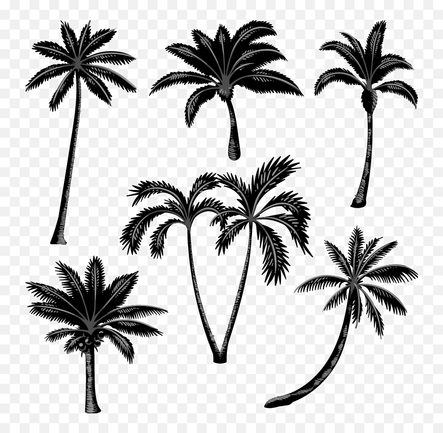 Palm Palms Freetoedit - Sticker Emoji,Palms Up Emoji