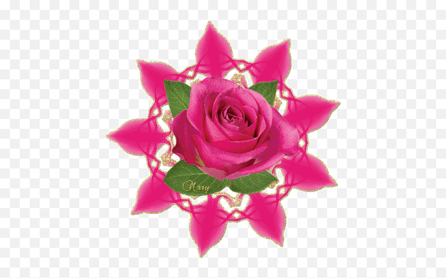 Rose Roses Gif - Rose Roses Pinkroses Discover U0026 Share Gifs Gif Emoji,Rose Emoji Png