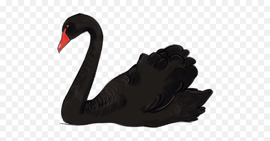 Transparent Black Swan Clipart - Black Swan Clipart Png Emoji,Swan Emoji