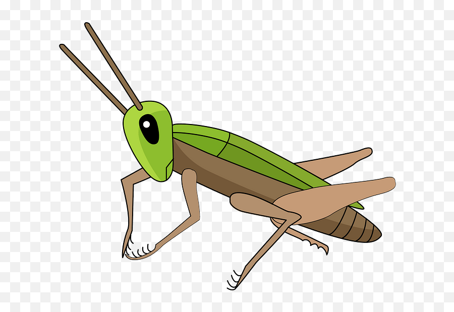 Cricket Clipart Animal - Band Winged Grasshoppers Emoji,Crickets Emoji