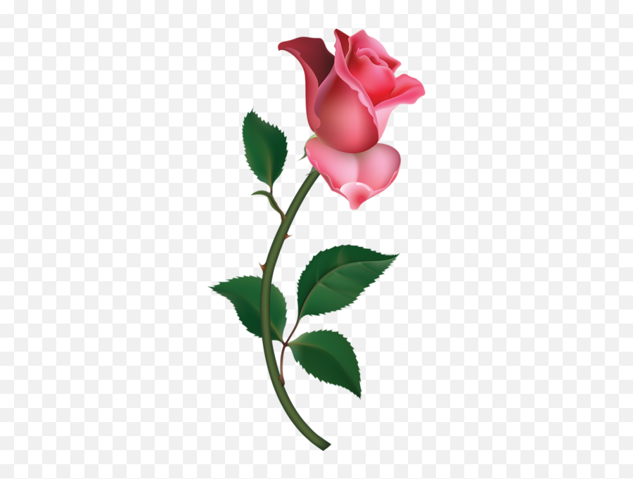 Large Pink Rose Bud Painting Png Clipart Flower Painting - Good Morning Dil Se Emoji,Pink Rose Emoji