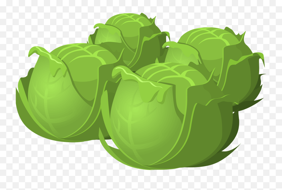 Cabbage Clipart - Cartoon Transparent Background Vegetables Emoji,Cabbage Emoji