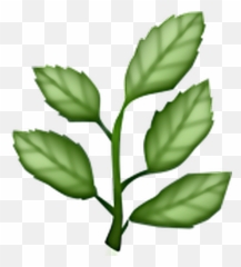 Plants Clipart Emoji Transparent Free For - Herb Png
