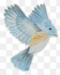Bluebird - Mountain Bluebird Emoji,Bluebird Emoji