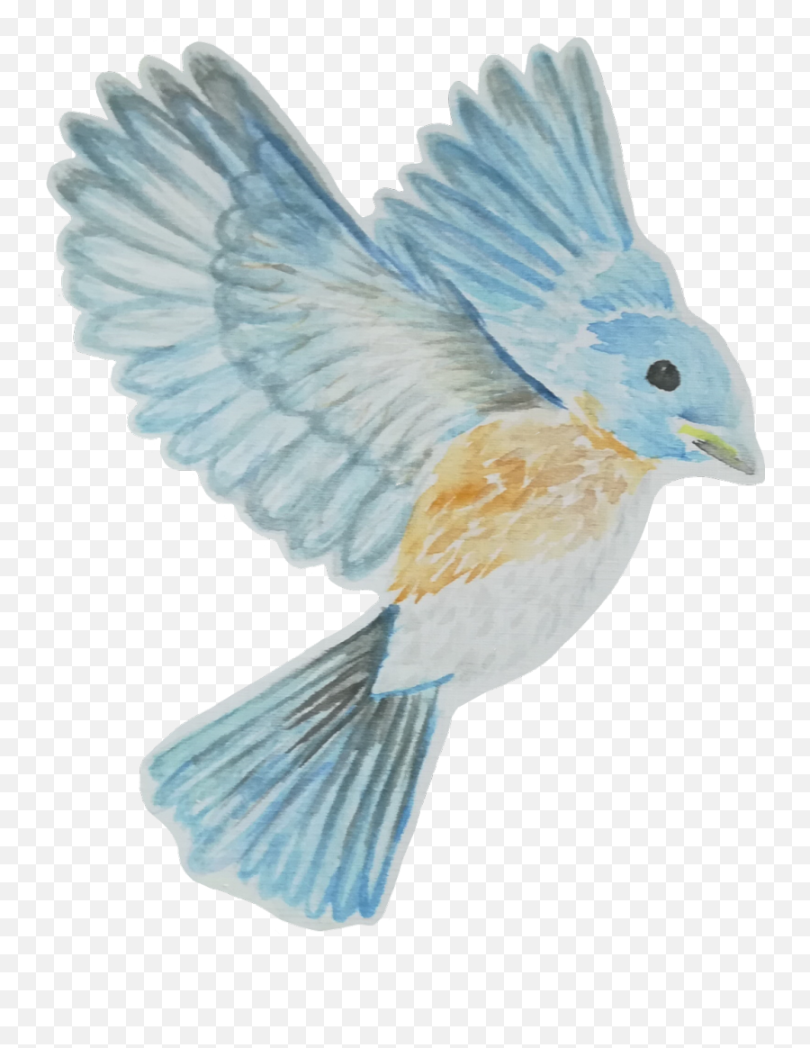 Bluebird - Mountain Bluebird Emoji,Bluebird Emoji