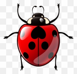 Lady Beetle Emoji For Facebook Email Sms - Lady Beetle Emoji,Fly Emoji