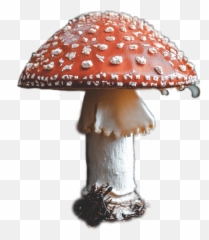 tinypeople red redmushroom MUSHROOMS HAELILU - Mushroom Close Up Emoji