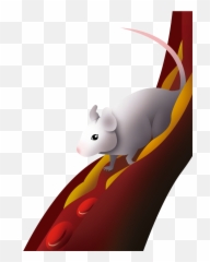Of Mice And Running Wheels Physical Activity Mediates The - Rat Emoji,Mice Emoji