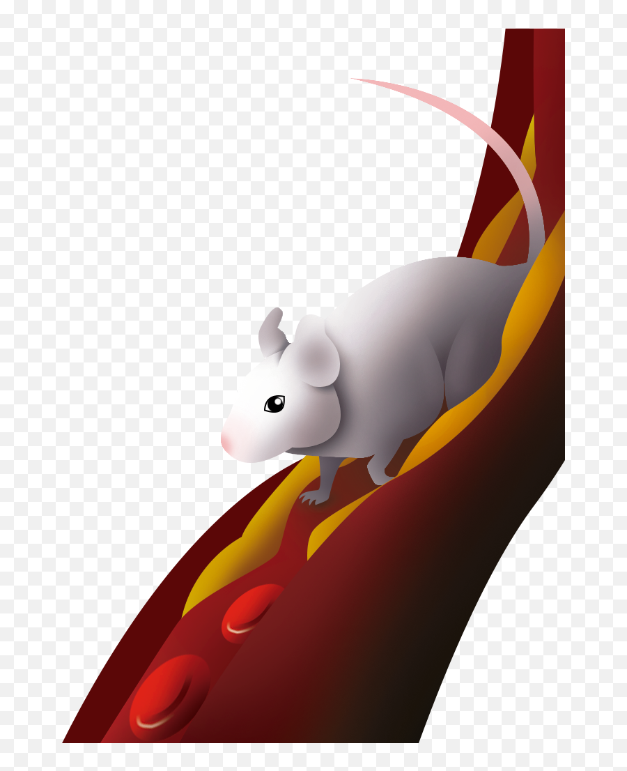 Of Mice And Running Wheels Physical Activity Mediates The - Rat Emoji,Mice Emoji