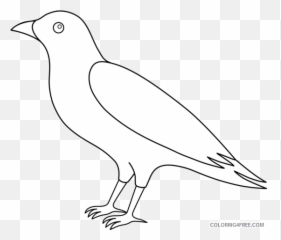 Raven 91 Png Printable Coloring4free - Outline Crow Clip Art Emoji,Cardinal Bird Emoji