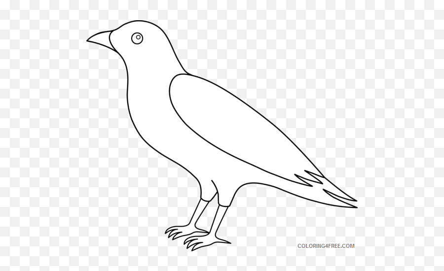 Raven 91 Png Printable Coloring4free - Outline Crow Clip Art Emoji,Cardinal Bird Emoji