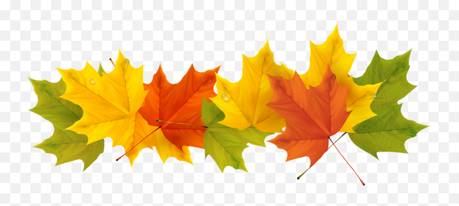 Transparent Fall Leaves Png - Clear Background Fall Leaves Clipart Emoji,Fallen Leaf Emoji