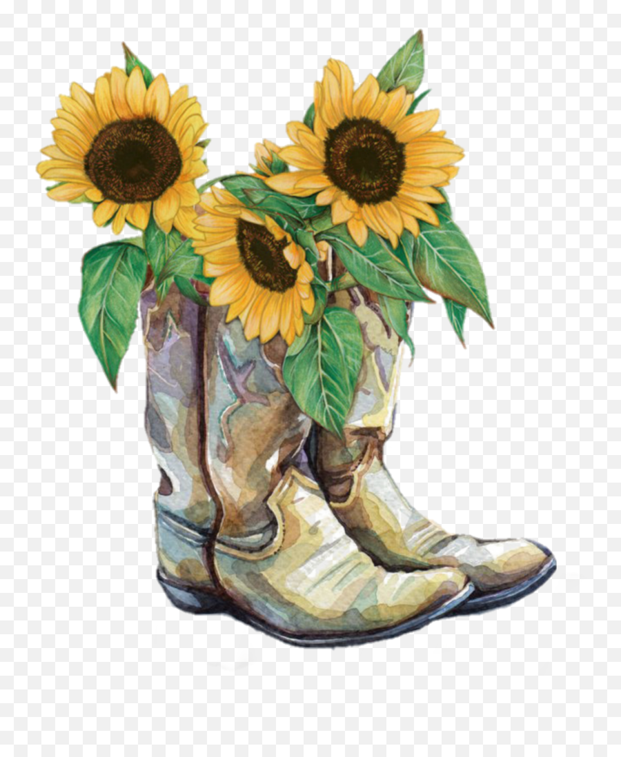 Cowboy Boots Sticker Challenge - Transparent Background Cowgirl Boots Clipart Emoji,Cowboy Boot Emoji