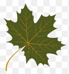 Free Png Autumn Leaves - Canada Maple Leaf Emoji,Leaves Emoticon
