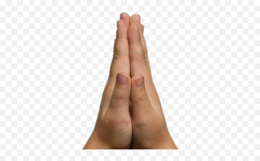 Hands Namaskar Dp - Namaskar Real Hand Png Emoji,Brown Praying Hands Emoji