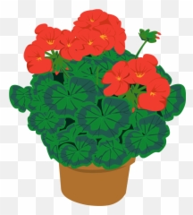 Free Potted Flowers Png Download Free - Red Geranium Clip Art Emoji,Potted Plant Emoji