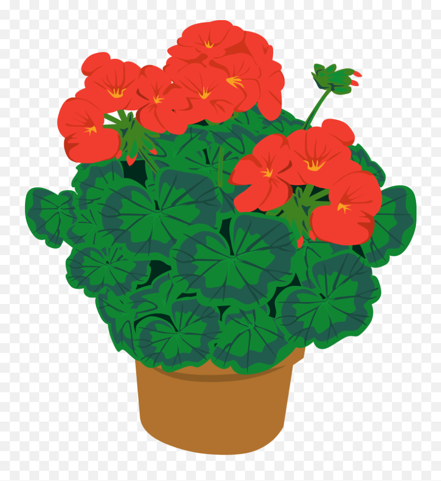 Free Potted Flowers Png Download Free - Red Geranium Clip Art Emoji,Potted Plant Emoji