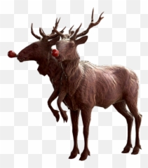 Fallout 76 Christmas Event Fo76 - Fallout Emoji,Moose Emoji