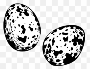 quail egg eggs Sticker by XxMiryxX - Quail Egg Black And White Emoji