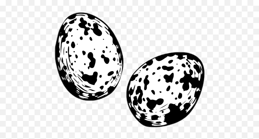 Quail Egg Eggs Sticker By Xxmiryxx - Quail Egg Black And White Emoji,Quail Emoji