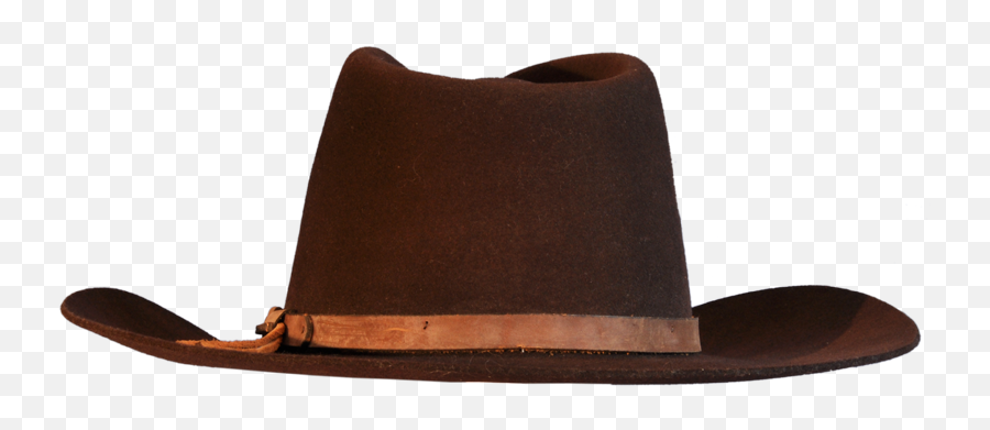 Brown Fedora - Transparent Background Cowboy Hat Png Emoji,Peach Emoji Hat