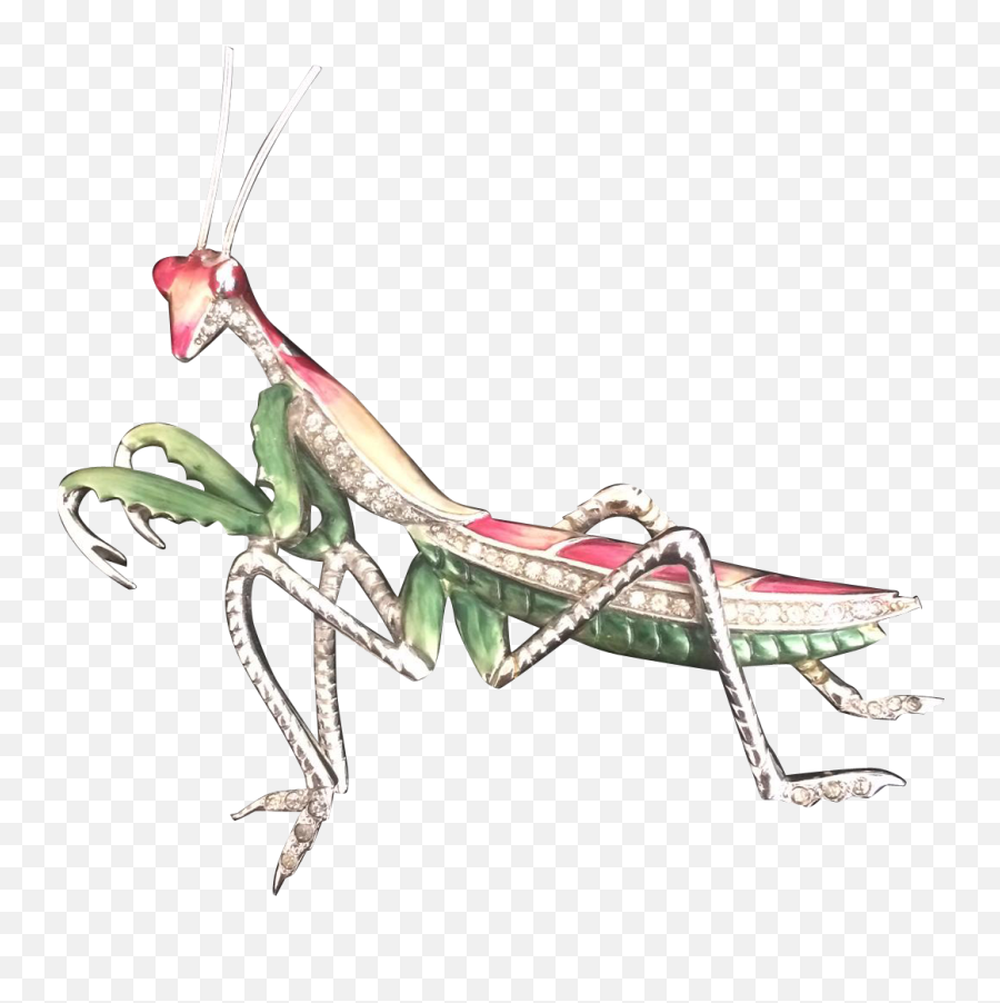 Praying Mantis Whichever Way You Spell - Mantidae Emoji,Praying Mantis Emoji