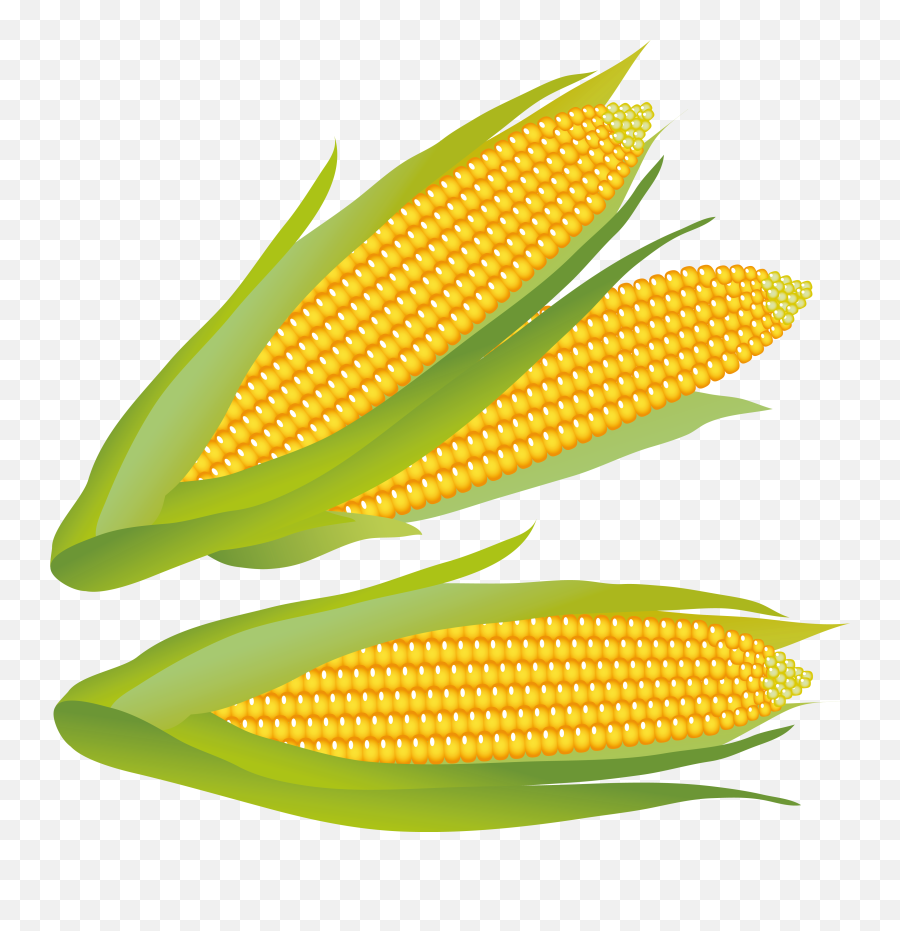 Corn Clip Art Free Free Clipart Images - Corn Clipart Emoji,Emoji Corn