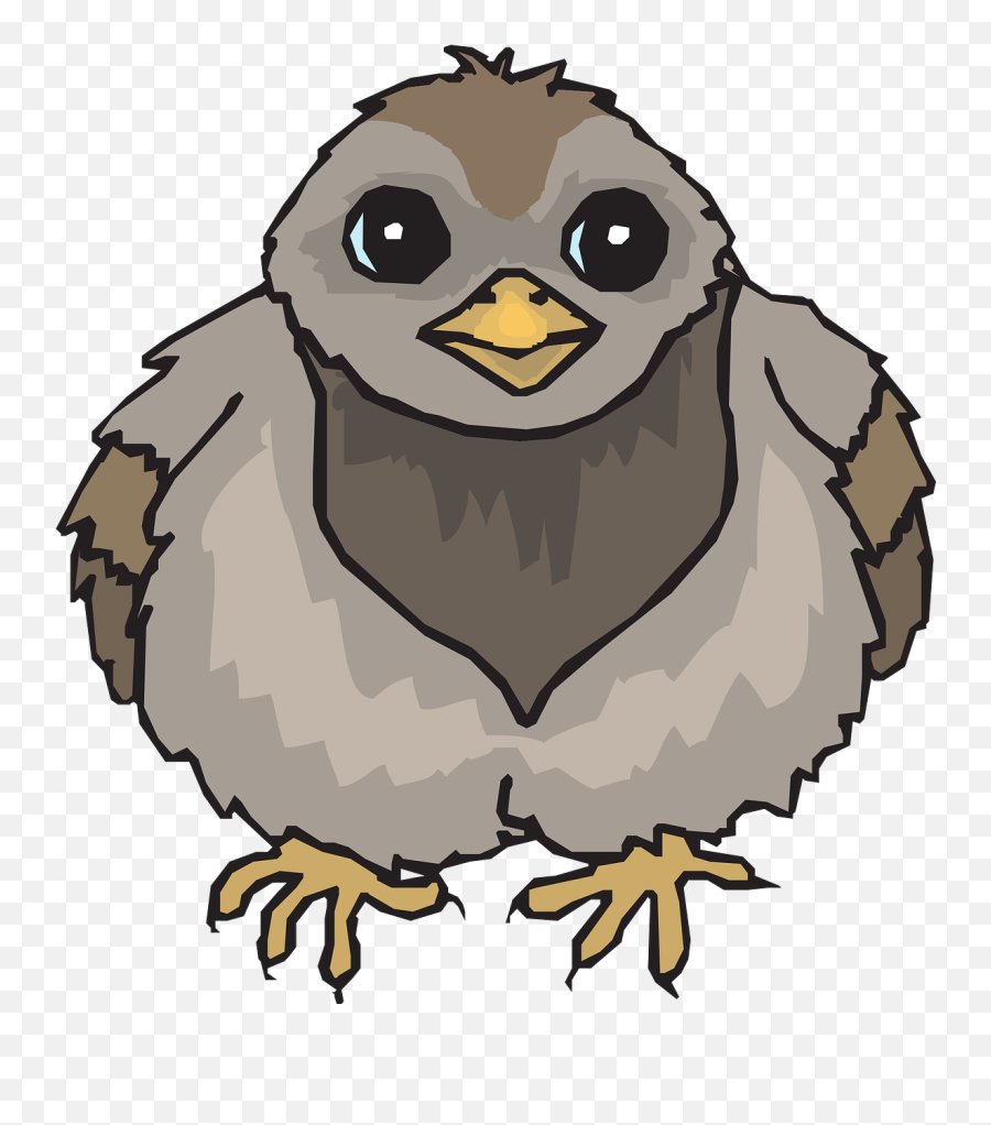 Baby Bird Wings Pigeon Fuzzy - Baby Pigeon Drawing Emoji,Chicken Wing Emoji