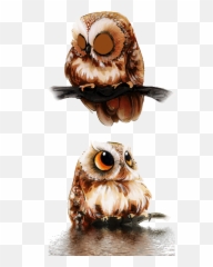 Emoji Woman Gifs Find Share On Giphy Owl Gifts For Women - Mignon Chouette Hibou Dessin,Cutest Emoji