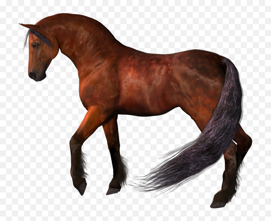 Horses - Transparent Background Horse Png Emoji,Horse Emoticons