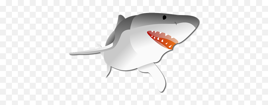 100 Free Shark U0026 Fish Illustrations - Pixabay Shark Pixabay Emoji,Shark Emoji