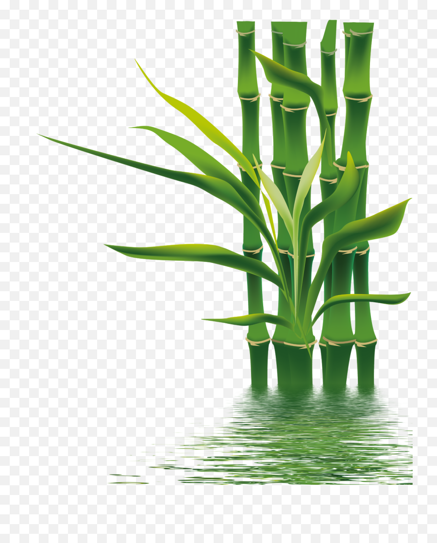 Bamboo Ifwe Bamboe Wallpaper - Bamboo Png Download 1417 Grass Background Hd Png Emoji,Bamboo Emoji