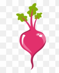 Roots Clipart Absorption Roots - Beet Clipart Png Emoji,Radish Emoji