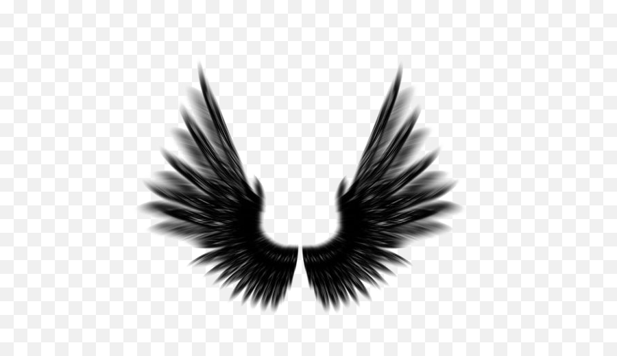 Wings Devil Black Fallen Angel Wing Freedom Fly Sky - Black Angel Wings Photoshop Emoji,Black Angel Emoji
