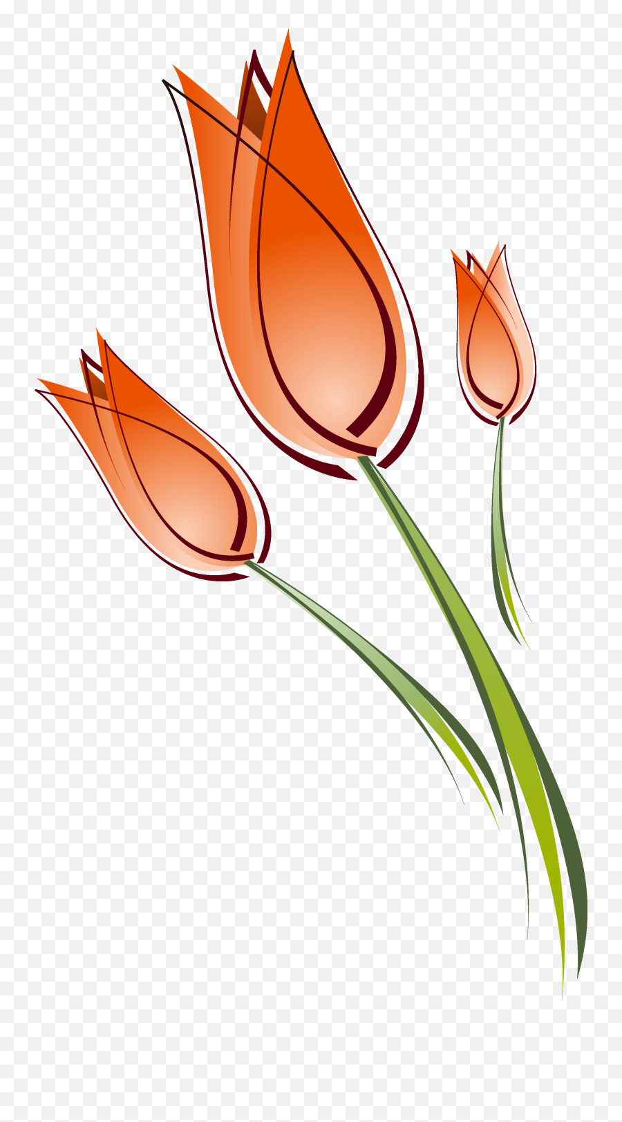Tulip Clip Art Transprent Png Free - Tulip Drawing Emoji,Tulip Emoji