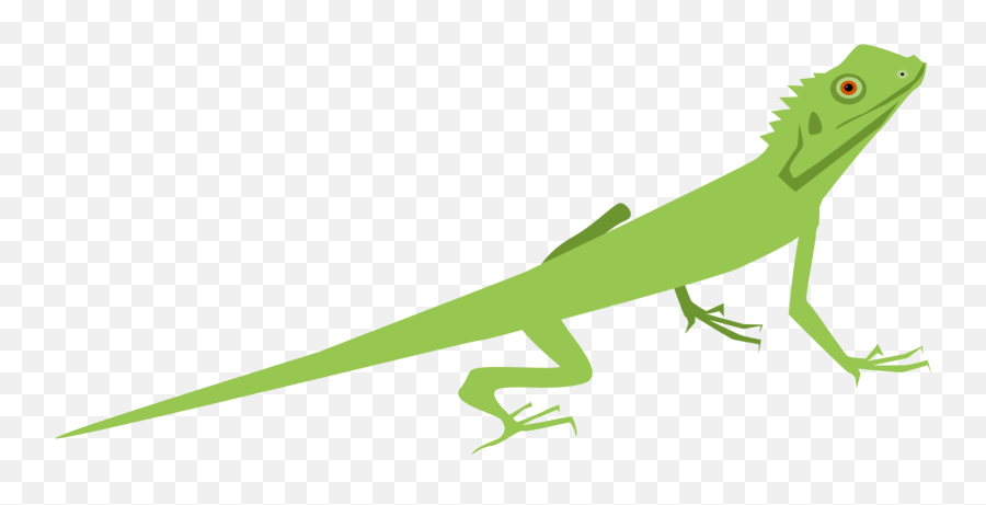 Iguana Clipart Lizard Tail Iguana - Clipart Lizard Emoji,Iguana Emoji