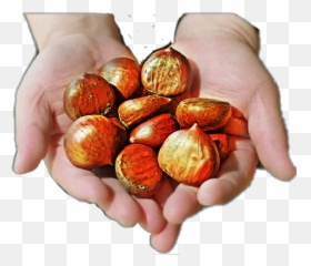And Trending Roasted Stickers - Coin Emoji,Roast Hand Emoji