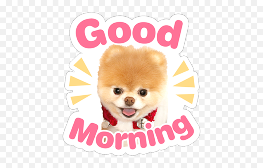 Animal Cute Sticker For - Pomeranian Emoji,Pomeranian Emoji