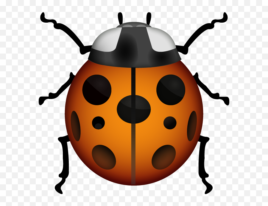 Download Png File - Ladybug Emoji Png,Orange Emoji
