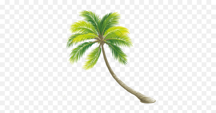 Palm Png And Vectors For Free Download - Transparent Background Palm Tree Transparent Emoji,Palm Tree Book Emoji