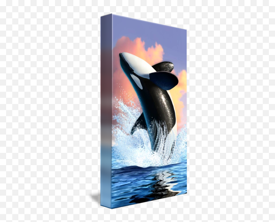 Orca Whales Orca Art - Sea Animals In Real Emoji,Orca Emoji